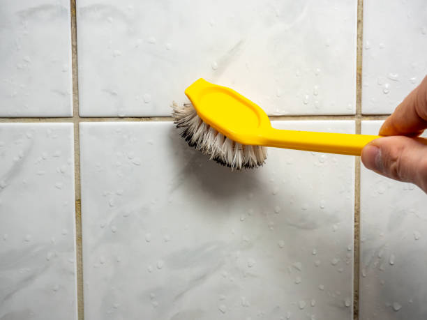 Best Localized Mold Remediation (e.g., coastal areas, humid climates) in Woodlawn, VA
