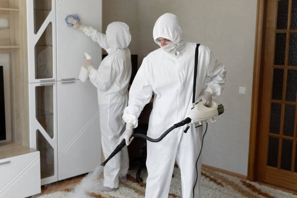 Trusted Woodlawn, VA Mold Remediation Experts