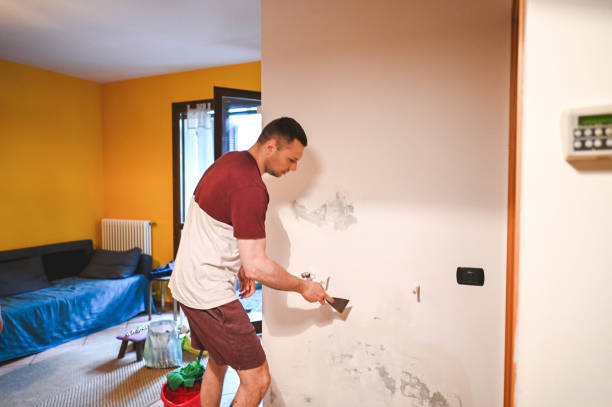 Best Bathroom Mold Remediation in Woodlawn, VA